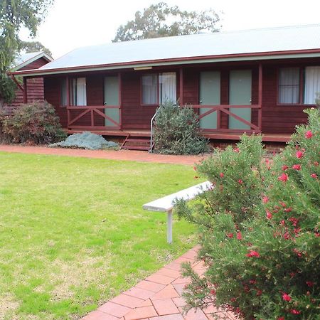Aussie Cabins Ξενοδοχείο Ντούμπο Δωμάτιο φωτογραφία