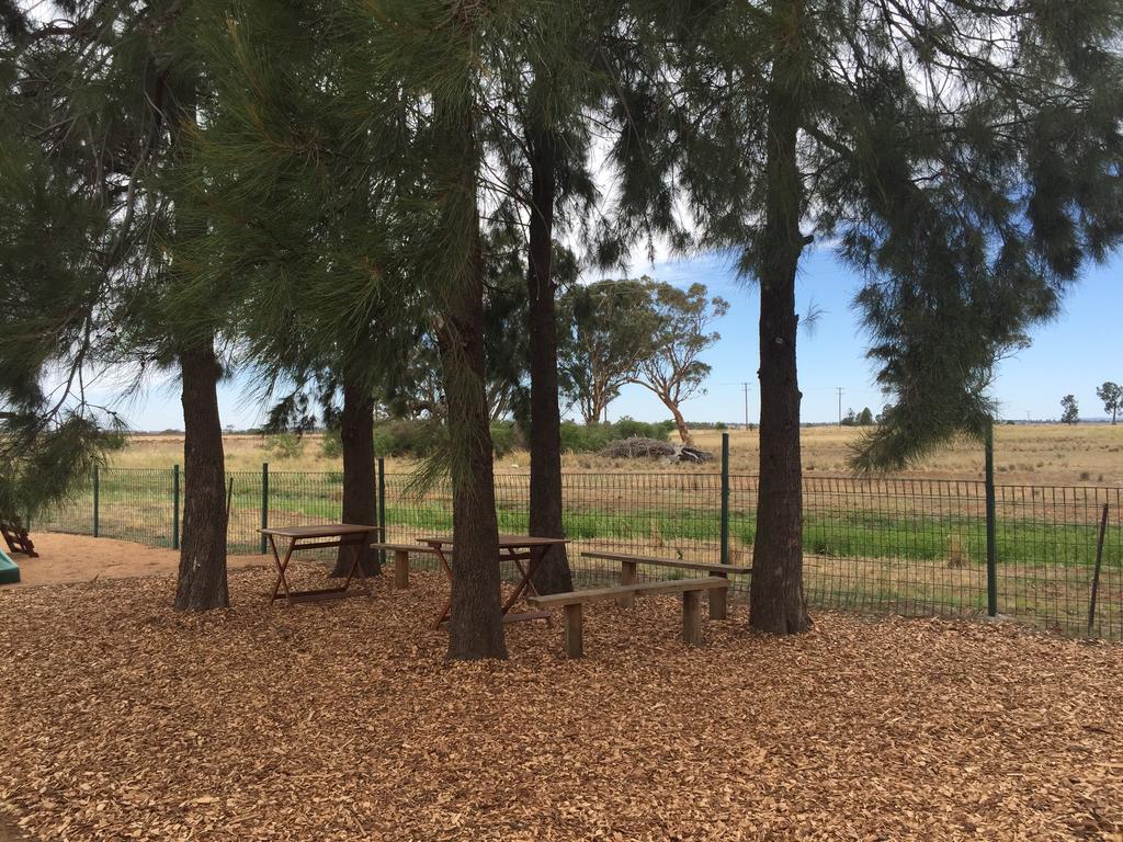 Aussie Cabins Ξενοδοχείο Ντούμπο Εξωτερικό φωτογραφία